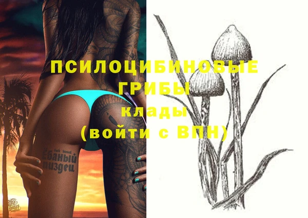 прущий лед Карталы