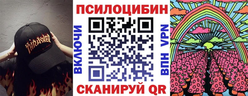 Псилоцибиновые грибы Psilocybine cubensis  Киржач 