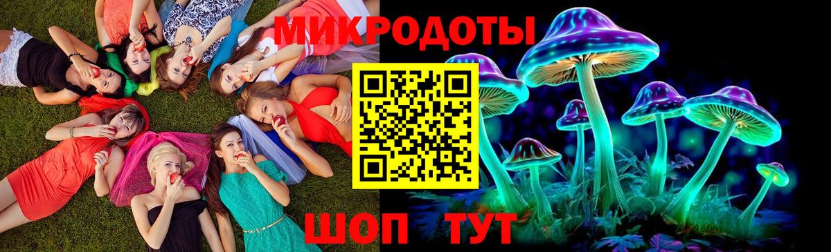 Киржач  Псилоцибиновые грибы Cubensis  Вход с VPN 